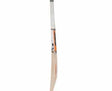 Sf jumbo 800 cricket bat | KIBI SPORTS - KIBI SPORTS