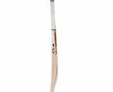 Sf jumbo 800 cricket bat | KIBI SPORTS - KIBI SPORTS