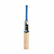 SF TRIUMPH WARRIOR CRICKET BAT | KIBI SPORTS - KIBI SPORTS