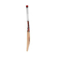 Sf classic 1000 cricket bat| KIBI SPORTS - KIBI SPORTS