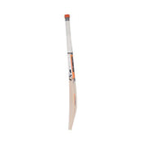 Sf jumbo 500 cricket bat | KIBI SPORTS - KIBI SPORTS