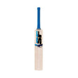 SF TRIUMPH DYNASTY CRICKET BAT | KIBI SPORTS - KIBI SPORTS