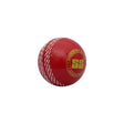 SS SWINGER CRICKET BALL (PACK OF 6) | KIBI Sports - KIBI SPORTS