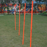 Nivia Agility Stick