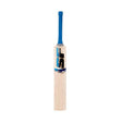 SF TRIUMPH ONYX CRICKET BAT | KIBI SPORTS - KIBI SPORTS