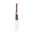 SF pro blaster 80000 cricket bat | KIBI SPORTS - KIBI SPORTS