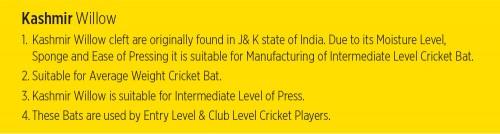 Cosco Razor Kashmir Willow Cricket Bat FULL - Cosco Cricket Equipment