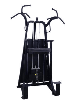 Vicky Dip-Chin Assist (Series 2) | KIBI Sports - KIBI SPORTS