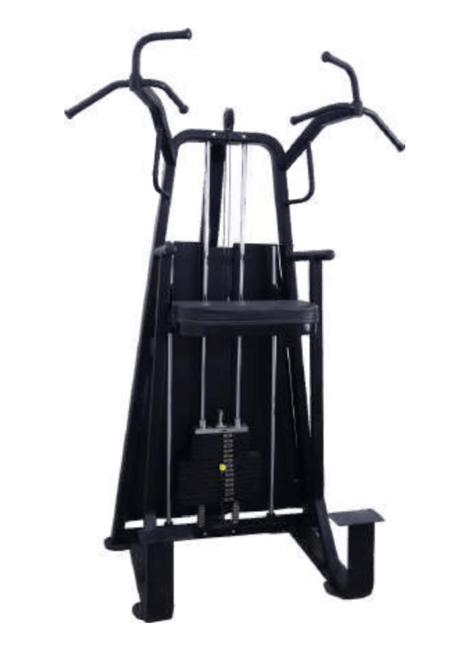 Vicky Dip-Chin Assist (Series 2) | KIBI Sports - KIBI SPORTS