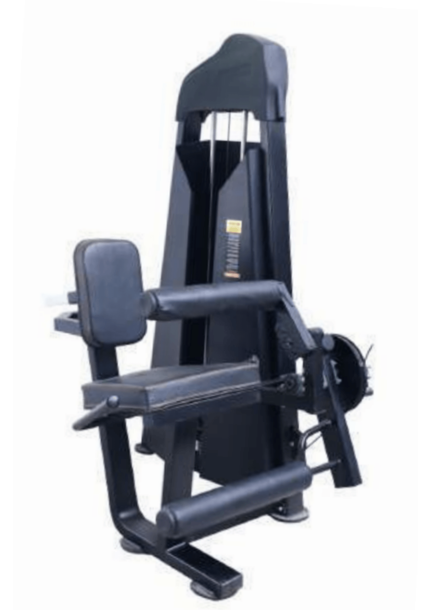 Vicky Leg Curl and Leg Extension (Series 2) | KIBI Sports - KIBI SPORTS