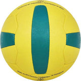 Cosco Championship Throw Ball 5 - Cosco Sports Ball Equipment
