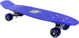 Cosco Raider Sr. Skate Board with PVC Wheels Senior - Cosco Skating Equipment